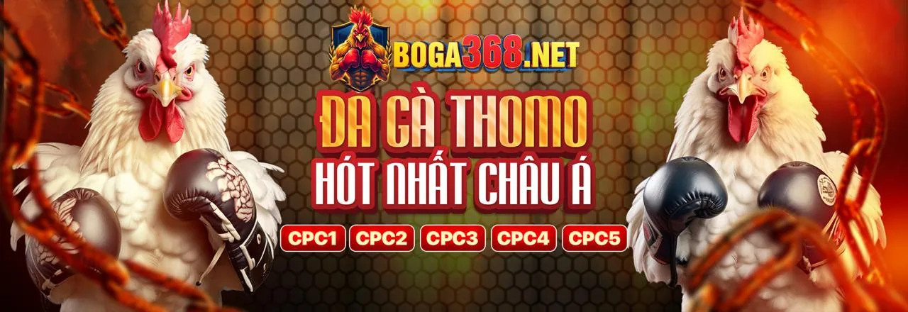 Tin tức 98win mới nhất